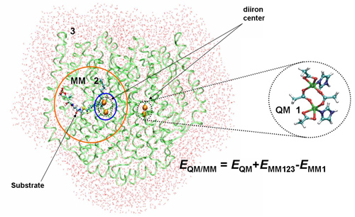 Reaction Mechanisms of Metalloproteins