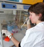 Isolace RNA pro detekci genové exprese ve sterilním PCR boxe