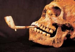 Lebka A 20 s keramickou dýmkou zasazenou v otvoru vybroušeném mezi zuby obou čelistí. Foto M. Prokopec / © M. Prokopec