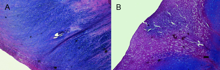 2013-Fig2.jpg