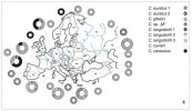 Mapa Evropy zobrazující výskyt mitochondriálních linií karasů  v jednotlivých státech. Upraveno podle:  K. Rylková a kol. (2013)