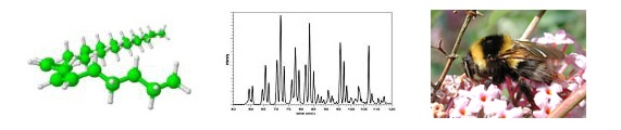 Lipids