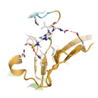 Thymidine phosphorylase docking