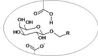 Glycoside in an active center