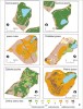 Změny charakteru lesa v povodích šumavských jezer mezi lety 1984 a 2011 na základě analýzy leteckých snímků: 1 – zapojený les beze změny;  2 – zapojený les na bezlesých plochách existujících v r. 1984;  3 – přirozeně obnovený les po gradaci lýkožrouta smrkového (Ips typographus) před r. 1984;  4 – nezapojený les na bezlesých  plochách existujících v r. 1984;  5 – nezapojený les po těžbách od r. 1984; 6 – les po gradaci lýkožrouta smrkového; 7 – vytěžený les; 8 – trvající bezlesí.  Černé body na březích jezer značí místa, kde se pravidelně odebírají vzorky vody pro analýzy. Orig. autoři článku