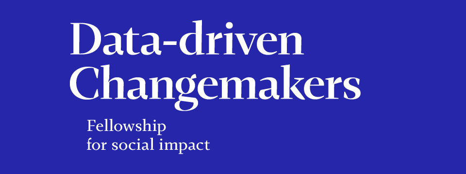 Data-driven Changemaker: Fellowship for Social Impact