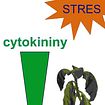 Gradient of cytokinins under drought stress