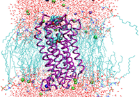 Neurochemistry