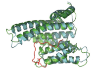 Protein Structures