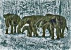 Rekonstrukce mastodonta Gomphotherium angustidens. Mastodonti byli hlavní vývojovou skupinou chobotnatců v třetihorách. Pronikli z Afriky přes Blízký východ do Eurasie a Beringovou úžinou až do Severní a následně do Jižní  Ameriky. Pro předchůdce dnešních slonů v mladších třetihorách se v minulosti vžilo jméno mastodont vytvořené G. Cuvierem v r. 1817. Dnes jím označujeme řadu samostatných rodů a podrodů, představujících několik vývojových linií, ve skutečnosti ne vždy patřících mezi předky dnešních slonů. Orig. P. Major