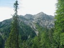 Pohoří Karwendel – subalpínský stupeň tvořený modřínem a kosodřevinou, s přimíšenými listnáči, javory a buky. Foto J. Kubíková