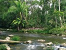 Scenérie horské řeky Dappur v centrálním Sarawaku na ostrově Borneo.  Řeky v rovníkových  tropech soustřeďují  pozoruhodnou  biodiverzitu,  odedávna slouží jako komunikační tepny a jsou také citlivými indikátory stavu  životního prostředí ve svém povodí. Foto R. Hédl