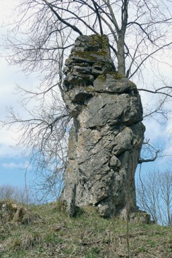 Pro Krkonoše je typické velmi malé zastoupení karbonátových hornin;  o to zajímavější je, že se tu nachází  nejdokonalejší skalní jehla v těchto  horninách v naší republice (Lysečiny). Foto V. Pilous