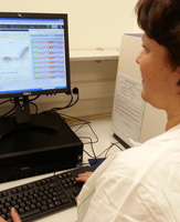 Analýza dat ze studia genové exprese pomocí Real-time PCR