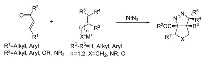 Jahn Conjugate Addition_cycloaddition.jpg