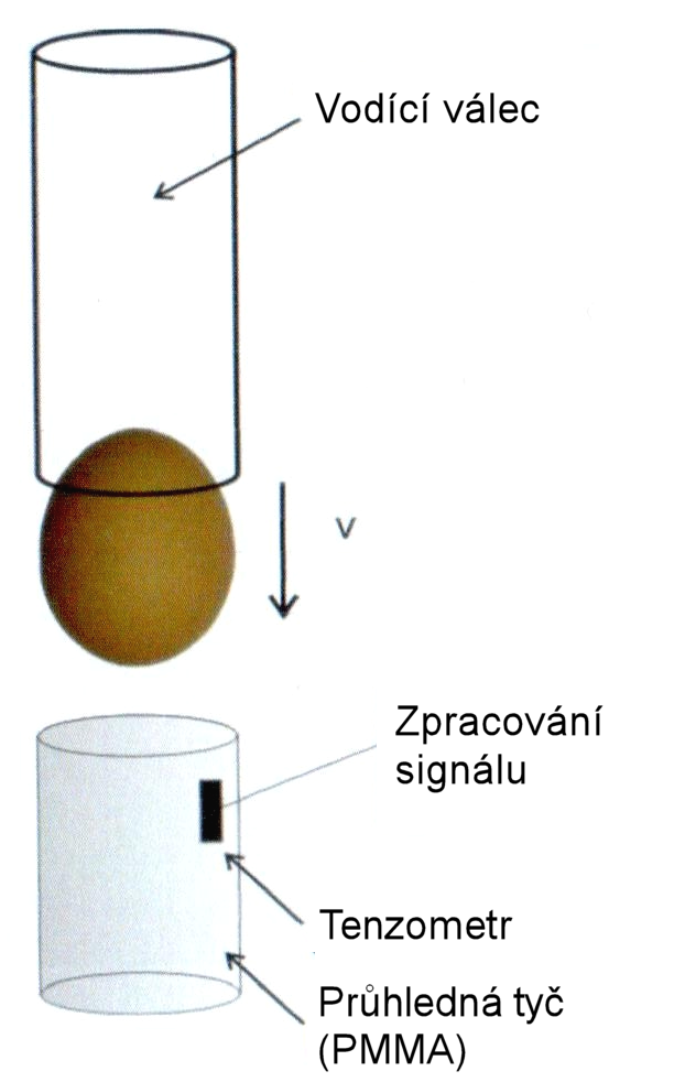 Schéma pokus s vajíčkem