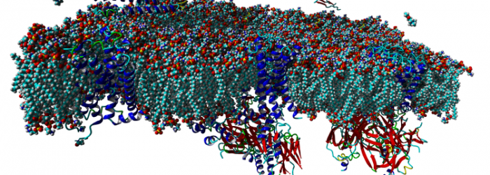 Neurochemie