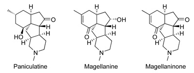 Jahn Lycopodium alkaloids.jpg