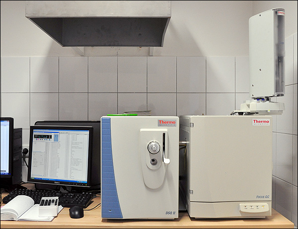 Thermo Scientific DSQ II Single Quadrupole GC/MS