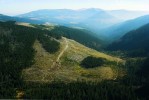 Rozsáhlé holiny v Labském dole (kolem r. 1985) vzniklé odumřením  lesních porostů v důsledku kyselé depozice a jejich odtěžením. Foto J. Štursa