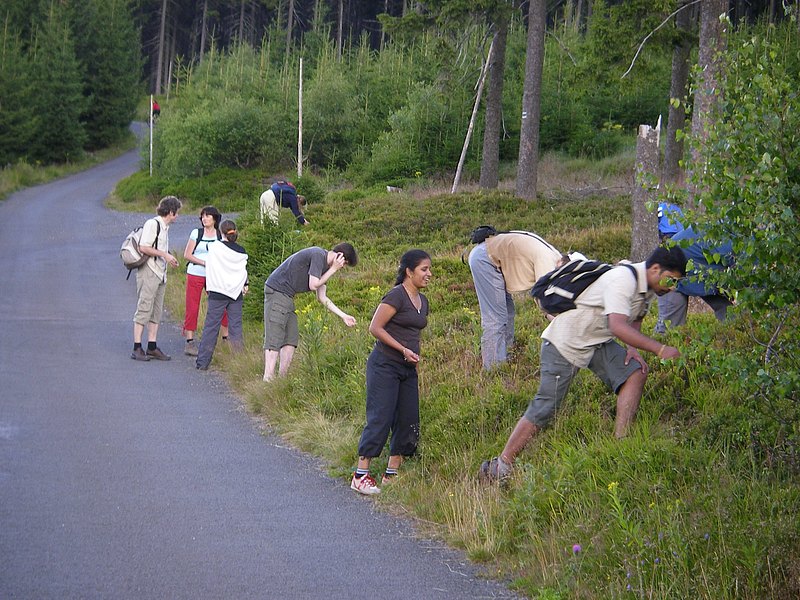 Krkonošský národní park, holoto!!