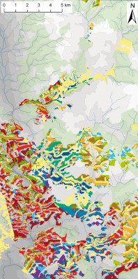 Stratifikace pro klasifikaci lesní  vegetace Moravského krasu a okolí.  Každá barva představuje jedno stratum, tedy soubor míst se shodnými podmínkami prostředí. Vytvořeno v programu ArcGIS 