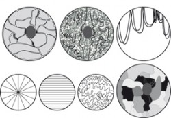 Vývoj představ o organizaci jádra. A, B – V r. 1952 byli schopni cytologové v jádře zaznamenat jen jadérko (J) a několik oblastí bohatých heterochromatinem, tzv. chromocentra (zde černé řetězce). Zbytek jádra obsahoval chromatin s nejasnou organizací, přičemž jedna z hypotéz (A) tvrdila, že tuto masu téměř kompletně tvoří euchromatin, druhá pak (B), že euchromatin tvoří malé shluky, které plavou ve velkém objemu jaderné tekutiny (Pollister 1952). C – D. E. Co­mings (1968) postuloval hypotézu tvrdící, že interfázní chromozomy jsou rozprostřeny přes víceméně celé jádro. Chromozomy měly být přichyceny k membráně, přičemž heterochromatin v kratších intervalech než euchromatin; homologní chromozomy měly být ukotveny blízko sebe. D – O několik let později F. Vogel a T. M. Schroeder (1974) ve třech modelech navrhli hypotetické uspořádání in­terfázních 30 nm chromatinových vláken. Hypotéza předpokládala uchycení vláken k jaderným pólům a navrhovala tři modely, jak by toto uspořádání mohlo vypadat. E – Jeden z novějších modelů zahrnující existenci chromozomových teritorií – model interchromozomální sítě (Branco a Pombo 2006). Ten předpokládá, že chromatin jednotlivých chromozomů není od sebe oddělen volnými prostory, přesto chromatinovým vláknům je umožněno expandovat do teritorií sousedních chromozomů. Orig. Petr Heneberg