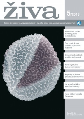 Obálka časopisu Živa 2013/5