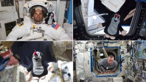 Krtek a Andrew Feustel na palubě ISS. Foto: NASA.
