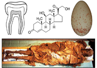 Analysis of Biologically Important Compounds