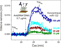 Detekce miRNA-122 (marker poškození jater) s použitím SPR biosenzoru. a sekundární protilátky.