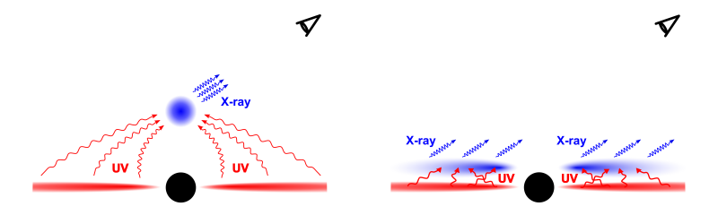 Geometrie korony akrečního disku rotujícího kolem černé díry.  Korona v aktivních galaktických jádrech se často popisuje jako kompaktní rentgenově zářící oblast nad černou dírou (vlevo). Termální fotony UV záření emitované akrečním diskem černé díry jsou v ní rozptylovány na horkých elektronech, čímž vzniká rentgenové záření. Z našich výpočtů vyplývá, že v některých zdrojích korona nemůže být kompaktní a sférická, ale musí se rozprostírat nad akrečním diskem (vpravo). Na obrázku jsou pro lepší čitelnost znázorněny jen ty fotony z korony, které směřují k pozorovateli.