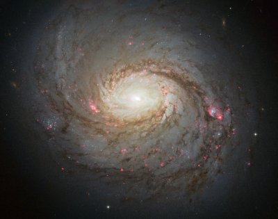 Galaxie M77 v souhvězdí Velryby je jednou z prvních galaxií, které byly klasifikovány jako Seyfertova typu, tedy jako aktivní galaxie se silným zdrojem vysokoenergetického záření ve svém nitru v důsledku interakcí hmoty s centrální černou dírou. Foto: NASA/Hubble.