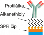 Kovalentní ukotvení