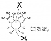 Jahn PhD Topic Dimerization.png