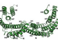 Proteinové struktury