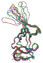 Maturation of retroviruses