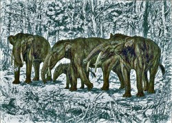 Rekonstrukce mastodonta Gomphotherium angustidens. Mastodonti byli hlavní vývojovou skupinou chobotnatců v třetihorách. Pronikli z Afriky přes Blízký východ do Eurasie a Beringovou úžinou až do Severní a následně do Jižní  Ameriky. Pro předchůdce dnešních slonů v mladších třetihorách se v minulosti vžilo jméno mastodont vytvořené G. Cuvierem v r. 1817. Dnes jím označujeme řadu samostatných rodů a podrodů, představujících několik vývojových linií, ve skutečnosti ne vždy patřících mezi předky dnešních slonů. Orig. P. Major