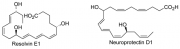 Jahn PhD Topic Antiinflam Lipids.png