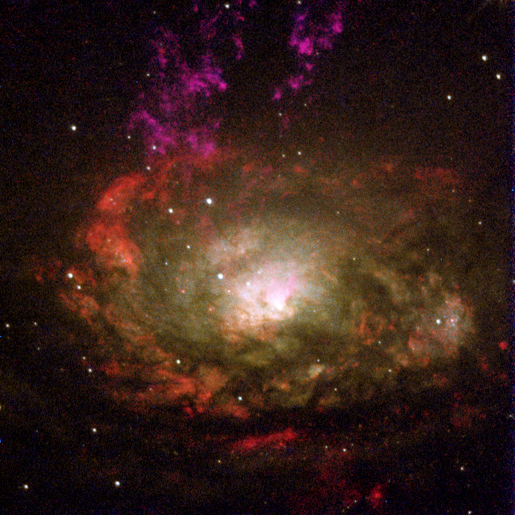 Galaxie Kružítko na jižní obloze je jednou z představitelek Seyfertových galaxií typu 2. Tento snímek ve falešných barvách byl pořízen Hubbleovým kosmickým dalekohledem. 
