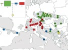 Rozšíření pěti chloroplastových  haplotypů zjištěných u růže převislé (Rosa pendulina; a). Současný areál je vyznačený šrafovaně. Veškeré populace na území ČR mají spojitost s Karpaty a Balkánem. Síť ukazující příbuzenské vztahy mezi haplotypy (b). Červený a modrý haplotyp se liší pouze jedinou mutací, stejně tak zelený a světle zelený; žlutý haplotyp je naopak velmi odlišný. Orig. T. Fér