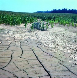 Eroze v zemědělské krajině a její důsledky – výrazné negativní změny  celé řady biologických a fyzikálních  hydrologicky významných vlastností půdy. Velkoplošnost bez ohledu  na zdravý selský rozum a znalost  stanovištních podmínek. Foto Z. Vašků