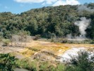 Mikrobiální biofilmy v termální oblasti národního parku Waimangu, Nový Zéland. Foto D. Baudišová