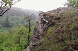 Skalní bloky bazických hornin jsou v rámci sudetských pohoří ojedinělým biotopem. Mramorová skála na polské straně Králického Sněžníku. Rostou zde některé relikty, např. pěchava tatranská (Sesleria tatrae), jinak rozšířená až ve slovenských Karpatech. Foto J. a P. Filippovovi / © J. and P. Filippov