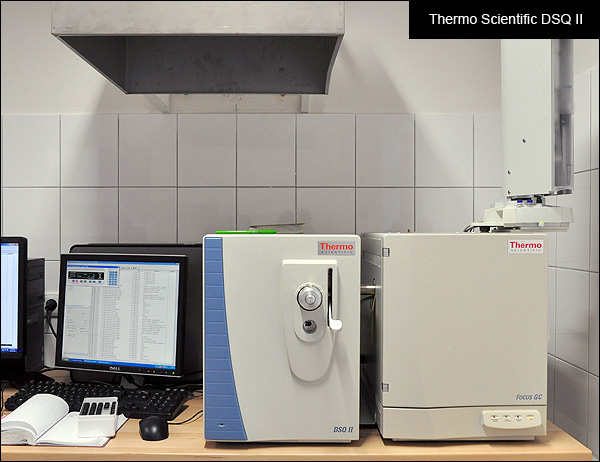 Thermo Scientific DSQ II Single Quadrupole GC/MS