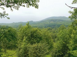Pohled do údolí Doupovských hor, kde ještě v 50. letech 20. stol. stála vesnice Tocov. Foto J. Brůna