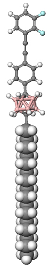 worm molecule