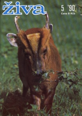 Obálka časopisu Živa 1990/5