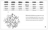 Metafázní buňka (vlevo dole) a z ní sestavený karyotyp (nahoře  a vpravo) jesetera ruského (Acipenser  gueldenstaedti) ukazuje jedince  s normální ploidií odpovídající  přibližně 240 chromozomům.