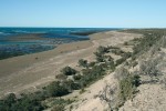 Pobřeží argentinského poloostrova Valdés představuje mozaiku stanovišť  od aridních křovinatých formací obývaných polopouštními a stepními druhy savců až po písečné pláže a mořská  skaliska vhodná pro ploutvonožce.